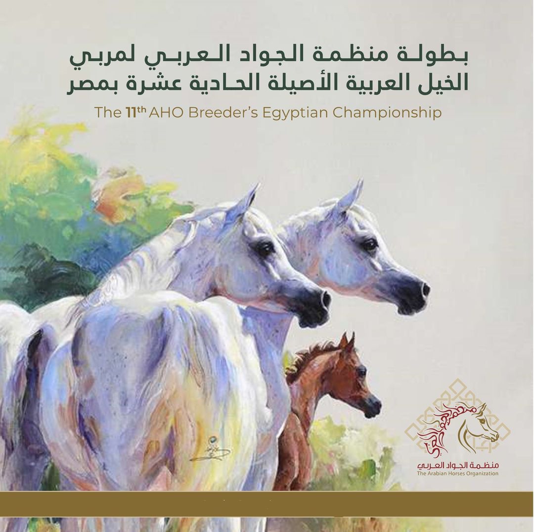 Promo Poster
